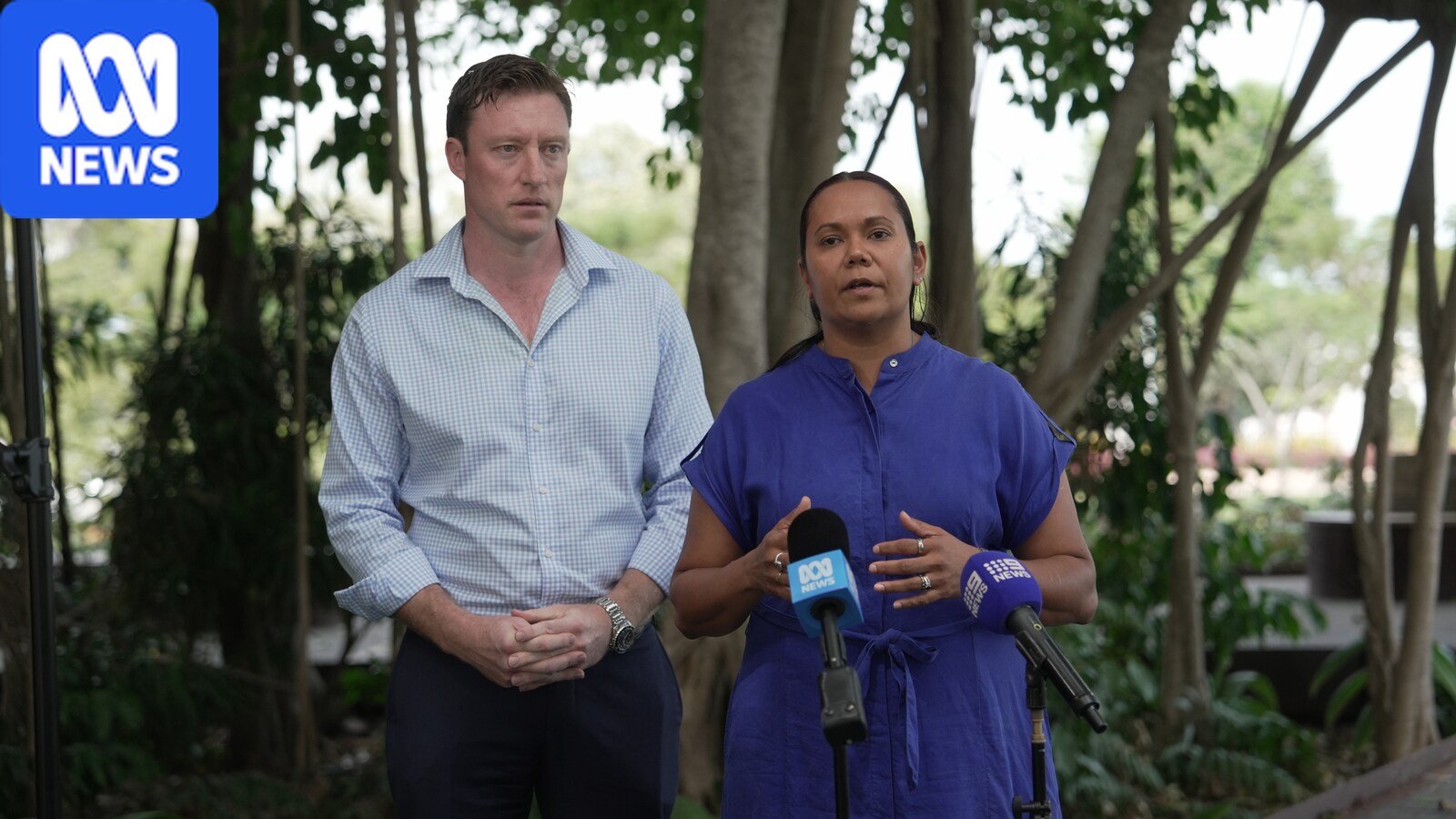 NT Labor backflips, supports 'hyper-scale' data centre moratorium — Politics report