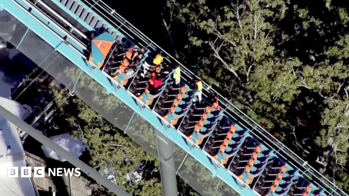 What we know about the man who died falling from a Six Flags rollercoaster — World report