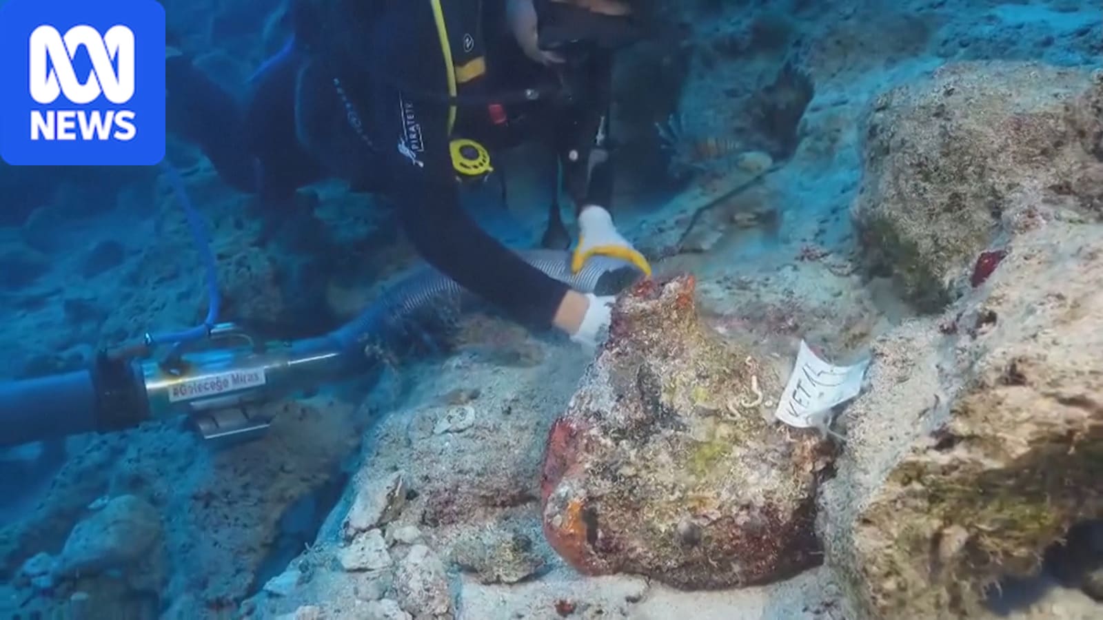 World’s oldest known shipwreck found in Turkiye — Business report
